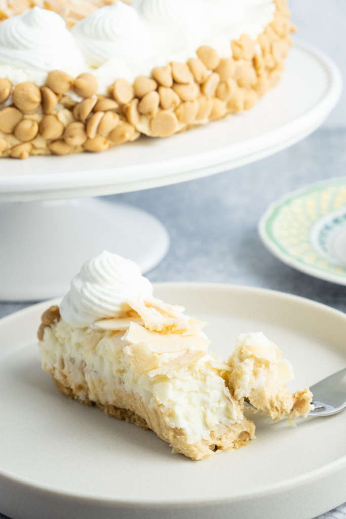 No-Bake Peanut Butter Coconut Cheesecake
